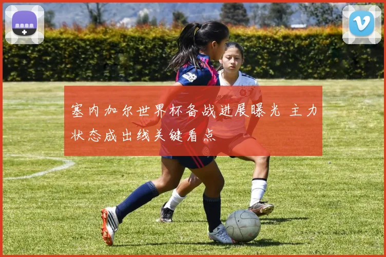 塞内加尔世界杯备战进展曝光 主力状态成出线关键看点