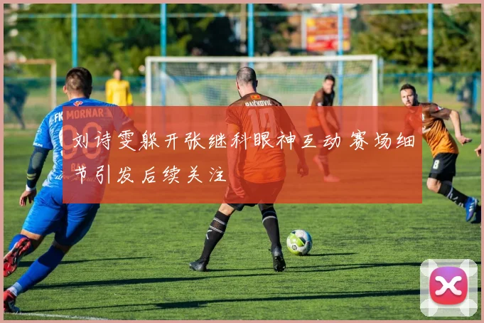 刘诗雯躲开张继科眼神互动 赛场细节引发后续关注