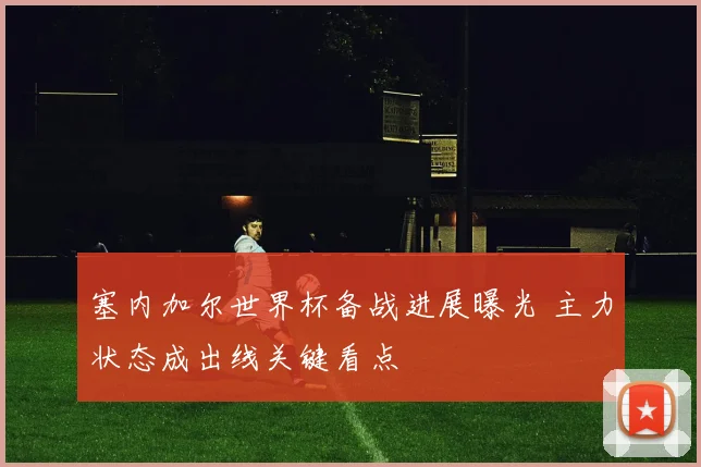 塞内加尔世界杯备战进展曝光 主力状态成出线关键看点