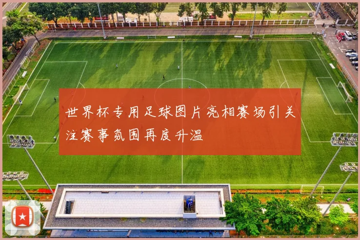世界杯专用足球图片亮相赛场引关注赛事氛围再度升温